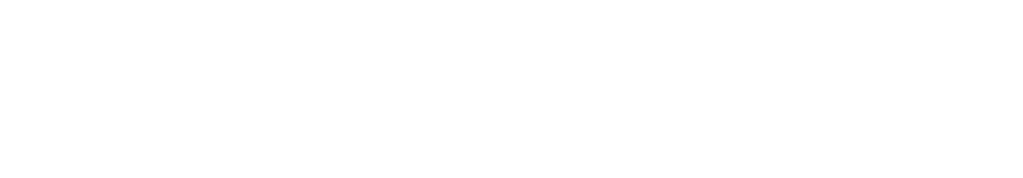 Constellation Logo